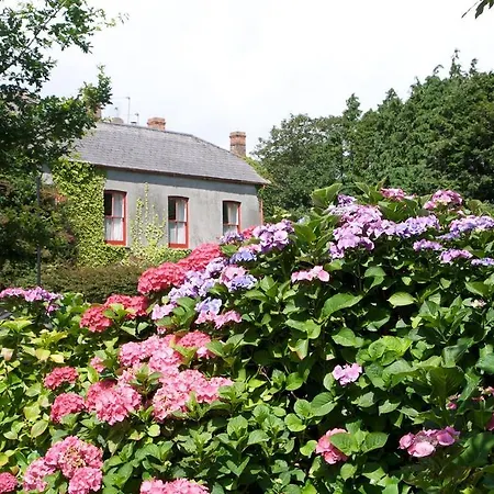 Long Quay Lodging Hostel Clonakilty